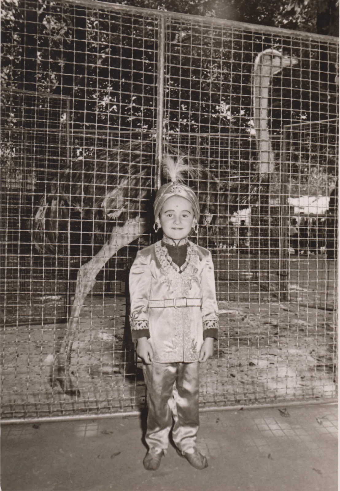1956 – Manege der Nachkriegsjahre, Circus Louis Knie