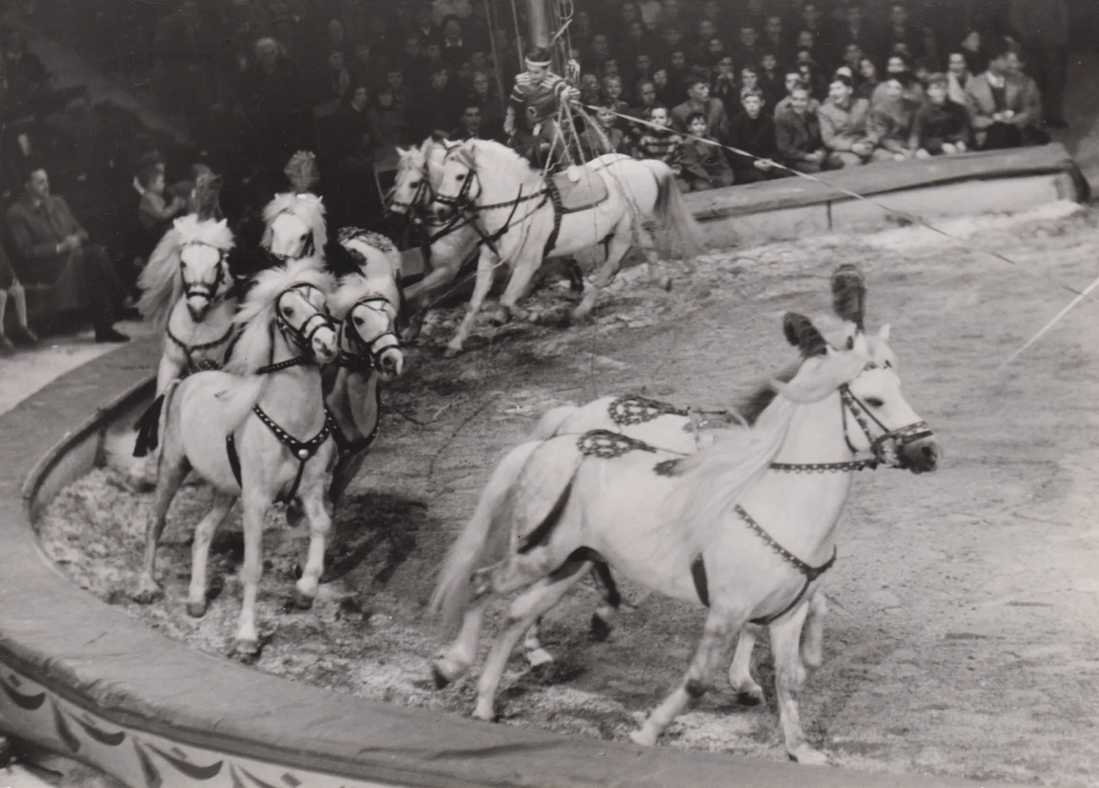 1957 – Auf Tournee, Circus Louis Knie