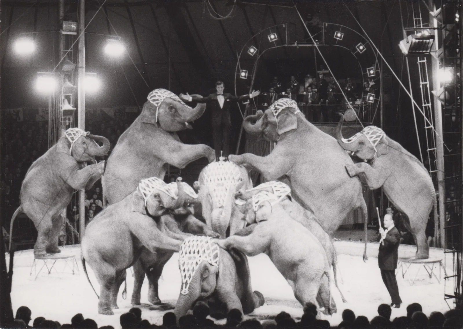 1967 – Große Circusjahre, Circus Louis Knie