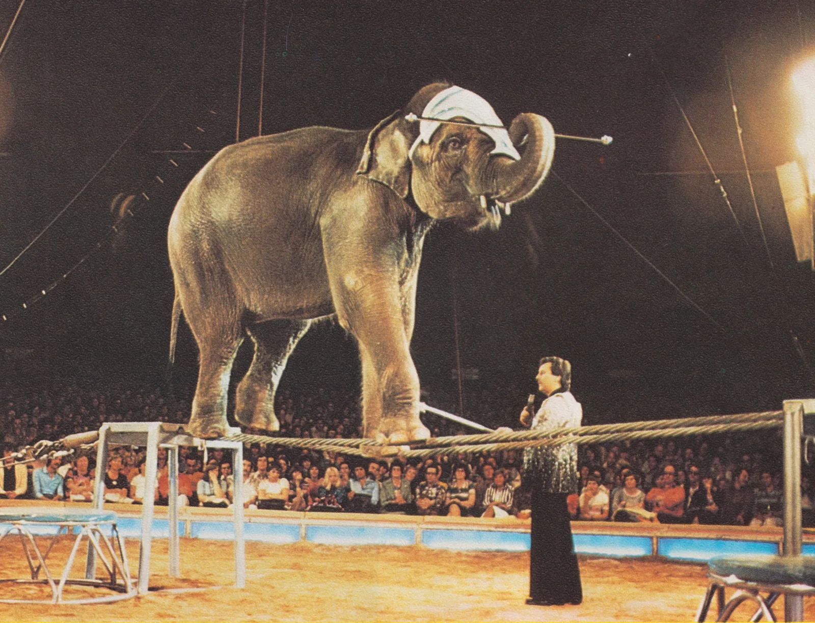 1976 – Im Rampenlicht, Circus Louis Knie