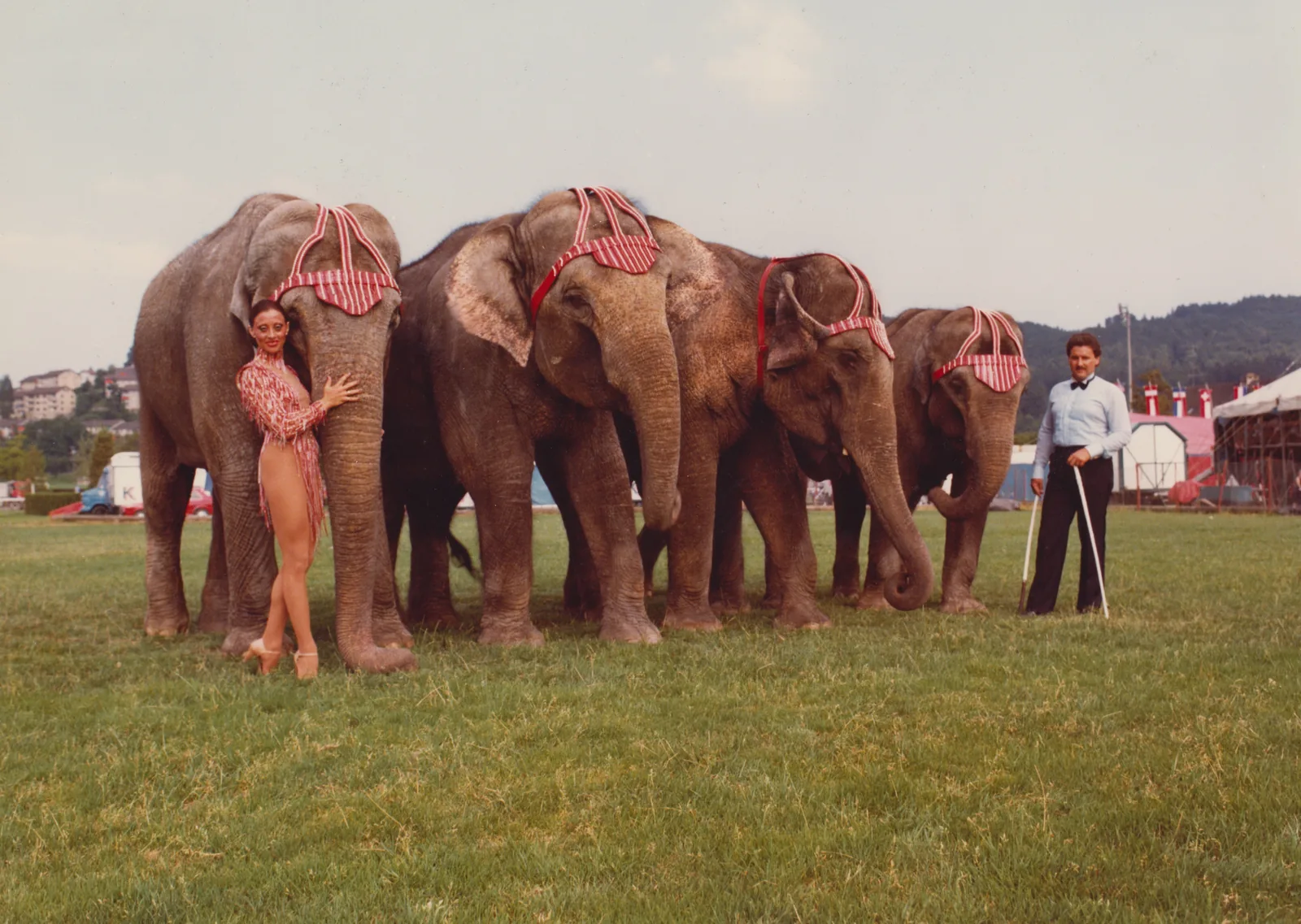 1980 – Ein neues Jahrzehnt, Circus Louis Knie