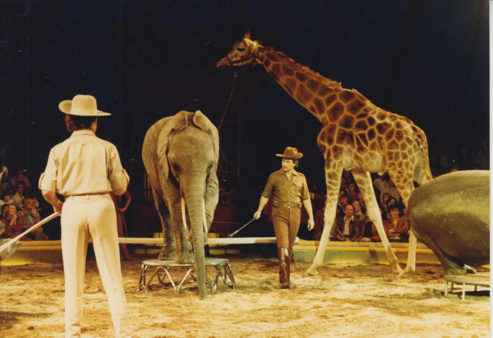 1980 – Exotische Welten, Circus Louis Knie