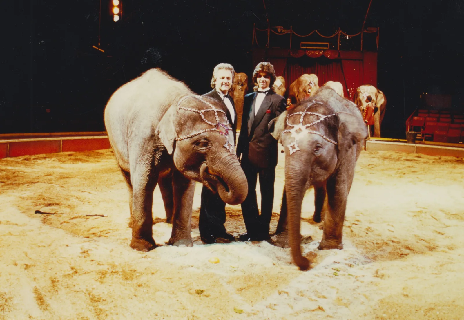 1990 – Neue Ideen, Circus Louis Knie